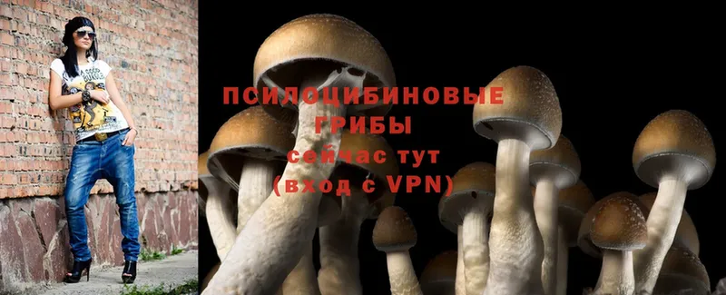 что такое наркотик  Верхний Уфалей  Галлюциногенные грибы Magic Shrooms 